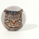 猫 缶バッジ ポストカード付 キジトラ猫 猫グッズ 雑貨 プレゼント 日本製 おもしろ かわいい オシャレ 文房具