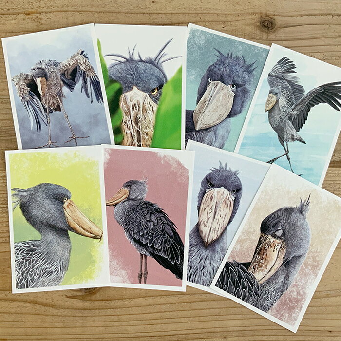 ポストカード ハシビロコウ 紙もの リアルイラスト インテリア カード ファインペーパー アート ハシビロコウグッズ プレゼント ギフト 日本製 雑貨 文房具 ...