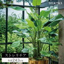 フェイクグリーン 大型 リアル 「ストレリチア 243cm シルカ（Silk-ka）」 人工 観葉 植物 おしゃれ 人工観葉植物 草花 インテリアグリーン 観葉植物 フェイク グリーン リビング インテリア 室内 木 大型観葉植物 人工植物 大きい オフィス 屋内 極楽鳥花