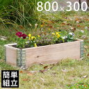 【木製プランター】 【ガーデニング】 【花壇】 「a+ design ガーデンボックス800×300 ナチュラル」