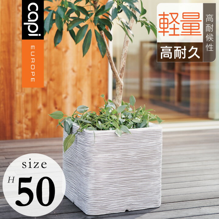 植木鉢 おしゃれ 軽量 「カピ（Capi） ネイチャーリブ スクエア（NatureRib Square） Lサイズ（□50×H50cm）」 16号鉢相当／特大・大型／アントラシート・アイボリー／底穴なし