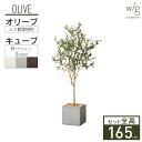 フェイクグリーン 大型 鉢セット 「オリーブS×Cube w/g」 高さ165cm 人工観葉植物 インテリアグリーン プランター 簡単組立 おしゃれ リアル 室内 オフィス