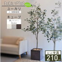 フェイクグリーン鉢セット 大型「丸葉ユーカリL×キューブ w/g-eco」高さ210cm 人工観葉植物 インテリアグリーン プランター 簡単組立 おしゃれ リア...