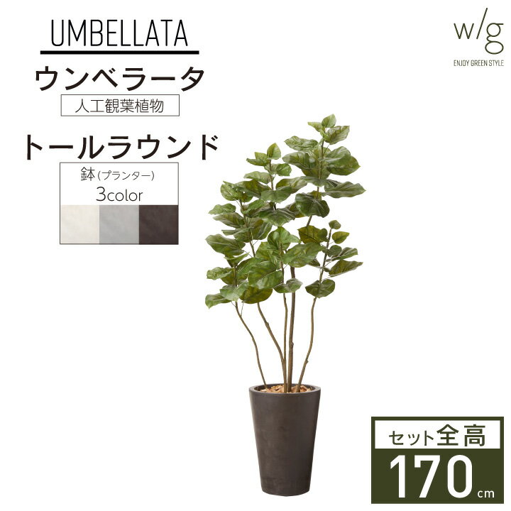 フェイクグリーン鉢セット 大型「ウンベラータ×Tall Round w/g」高さ170cm フィカス ゴムの木 人工観葉植物 インテリアグリーン プランター 簡単組立 おしゃれ リアル 室内 オフィス