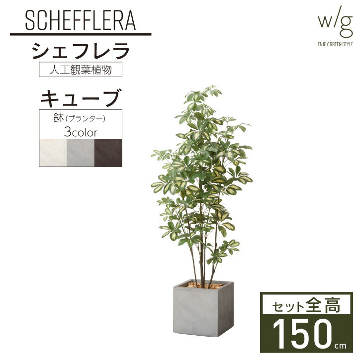 カポック フェイクグリーン リアル 大型 「シェフレラ×Cube w/g」 高さ150cm 人工観葉植物 鉢セット インテリアグリーン プランター 簡単組立 おしゃれ リアル 室内 オフィス