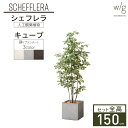 フェイクグリーン リアル 大型 「シェフレラ×Cube w/g」 高さ150cm 人工観葉植物 鉢セット インテリアグリーン プランター 簡単組立 おしゃれ リアル 室内 オフィス