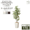 フェイクグリーン鉢セット 大型 「シェフレラ×Tall Square w/g」 高さ170cm 人工観葉植物 インテリアグリーン プランター 簡単組立 おしゃれ リアル 室内 オフィス