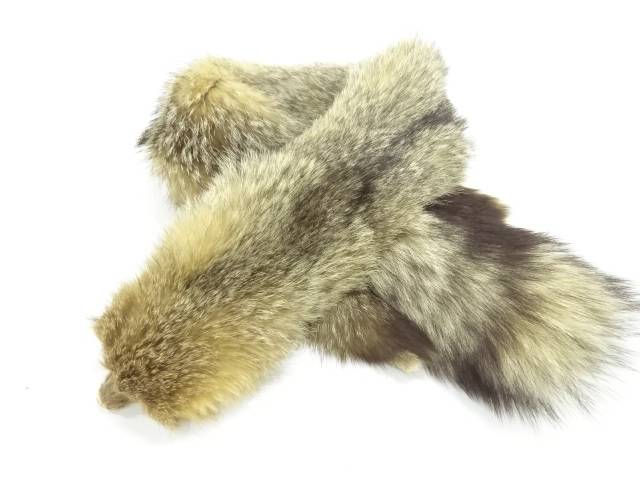 FOX衿巻き【アンティーク】【中古】【着】 宗sou(4)