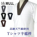 男性用 メンズ 洗える半襦袢Tシャツ 高級天竺綿 M/L/LL えり付きTシャツ 肌着 白衣 作務衣 紳士用 5色 メール便送料無料