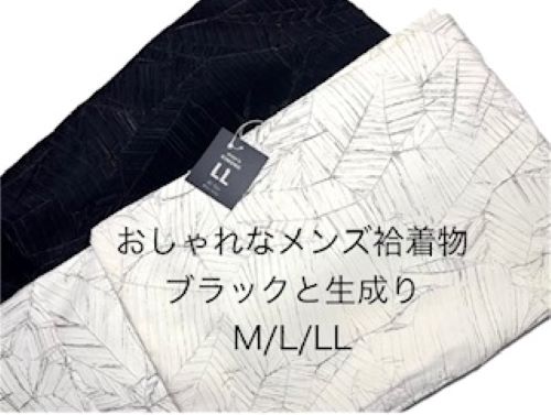 メンズ 男物 洗える袷着物 袷 仕立て上がり 自宅で洗える 粋な地柄 M/L/LL 生成り・黒