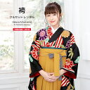 【マラソン☆最大3000円配布中☆6/22〜27 1:59まで】【レンタル】卒業式 袴 レンタル 女 フルセット 女性 袴セット 黒系 ブラック 黄色 菊 梅 ...