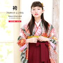 【マラソン☆最大3000円配布中☆6/22〜27 1:59まで】【レンタル】卒業式 袴 レンタル 女 フルセット 女性 袴セット 濃緑 グリーン 赤 菊 キク ...
