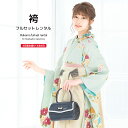 【全品クーポン最大3000円OFF☆6/14~19】【レンタル】卒業式 袴 レンタル 女 フルセット 女性 袴セット 水色系 アイボリー 椿 花丸 ストライプ ...