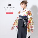 【全品クーポン最大3000円OFF☆6/14~19】【レンタル】袴セット 卒業式 袴 レンタル 女 女性 フルセット 白 ホワイト 黒 金色 菊 橘 椿 梅 花...