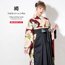 \半額!/先着100名限定クーポンで50%OFF☆7/26 1:59まで【レンタル】袴セット 卒業式 袴 レンタル 女 女性 フルセット 赤 黒 ラメ 桜草 菊 百合 縞 縮緬 振袖 大人 レディース 大学 和服 着物セット 往復送料無料