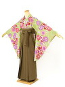 【全品クーポン最大3000円OFF☆6/14~19】【レンタル】袴セット 卒業式 袴 レンタル 女 女性 フルセット 黄緑 グリーン モカブラウン 桜吹雪 菊 ...
