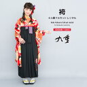 \先着20%OFFクーポン!/300名限定☆7/26 1:59まで【レンタル】卒業式 袴 小学生 女の子 袴セット ジュニア フルセット 赤 レッド 黒 ブラッ...