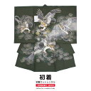 【全品クーポン最大3000円OFF☆6/14~19】【レンタル】産着 お宮参り 男の子 初着 レンタル 黄緑 グリーン 鷲 鷹 刺繍 金通し生地 祝い紋 正絹 ...