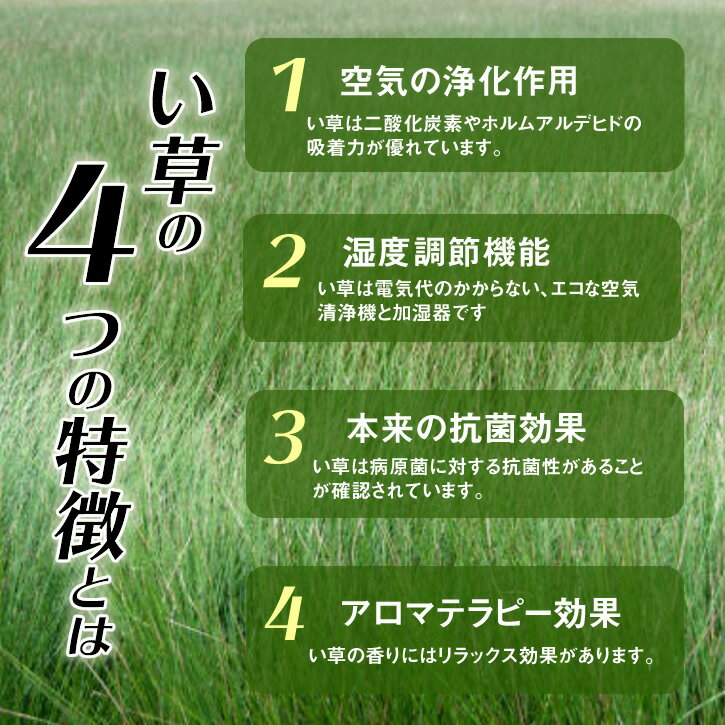 さくら　サイズ65cm　御前座布団 お盆座布団 初盆 御仏前 仏壇座布団 住職用 お寺様用 ペット用 ペット供養 仏前用 法事用 仏具 新盆 供養代台 四十九日 月命日 命日 ミニ仏壇 居間 座敷 【送料無料】