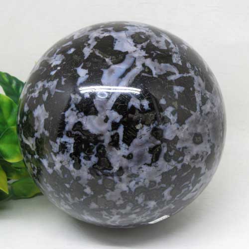 ��ŷ���Сۥ���֥������ݶ̡���14.5��������ޥ�����������ä줤���ư�褢��