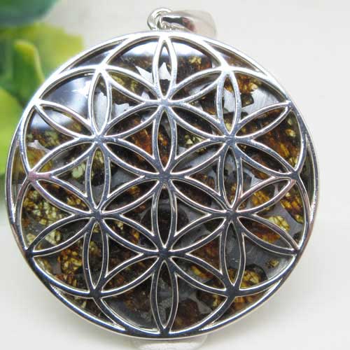 楽天市場】ラサイト・セリコ隕石の通販