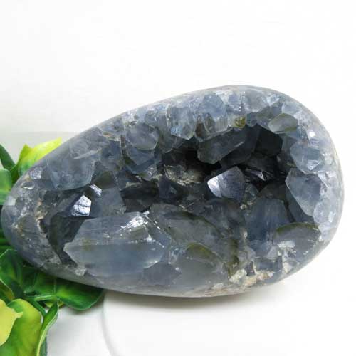 ŷСۥ쥹ȡ3Ĥ뾽ޥŷȤСۡҡ󥰡ư褢