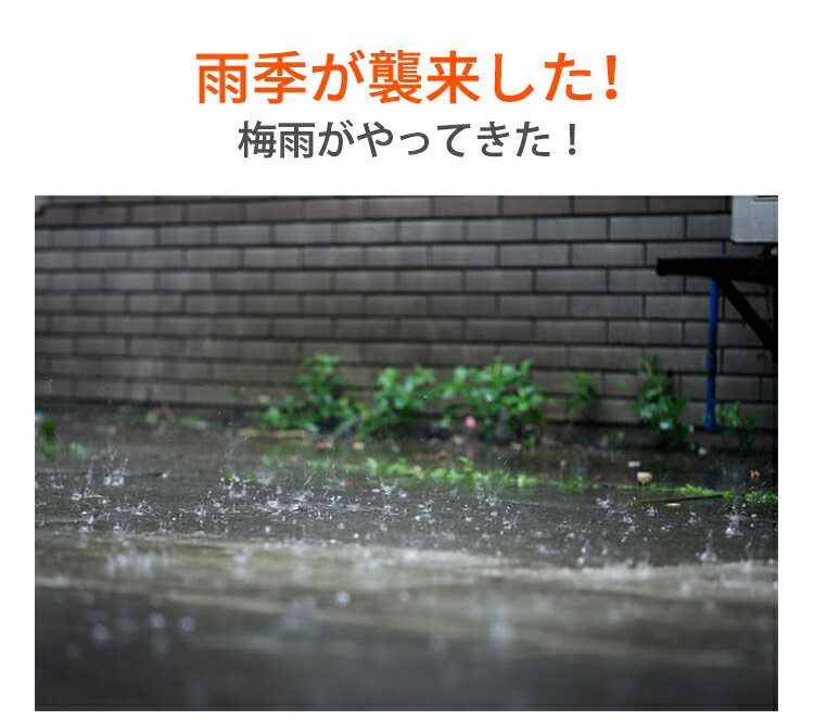 【PSE認証/3本セット/水捨て不要/繰り返し使える/無電源で使える/MAX1年安心保証】コンパクト 静音 作業 クローゼット 小型 除湿機 除湿剤 湿気取り 防カビ剤 除湿器 乾燥機 梅雨対策 衣類乾燥 乾燥剤 乾燥除湿機 衣類乾燥機 軽量 カビ防止 部屋干し コンパクト おすすめ