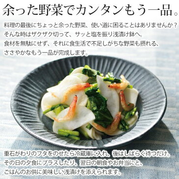 浅漬け鉢 漬物容器 陶器 フタ 漬物石 代わりに 漬けて そのまま テーブル に出せる 蓋つき 小鉢 陶器製 漬け物容器 浅漬け奉行 漬物器 保存容器 おしゃれ ミニ 漬物樽 キッチン用品 調理器具 食器 母の日 ギフト 新生活 まとめ買い