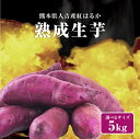 熊本県産 さつまいも 紅はるか 熟成生芋5kg 選べるサイズ(2S,S,M,L,2L,3L,4L) 土付き