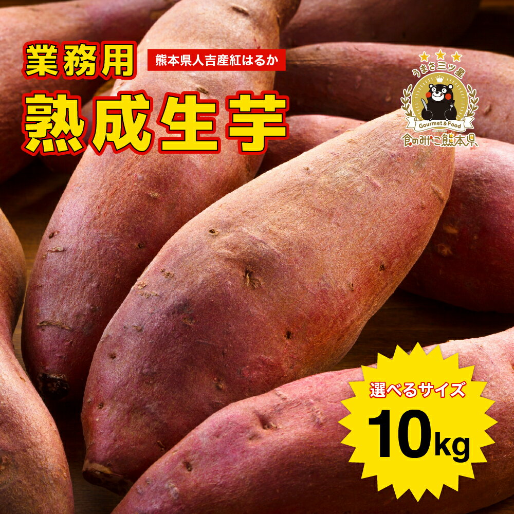 熊本県産 さつまいも 紅はるか 熟成生芋10kg 選べるサイズ(2S,S,M,L,2L,3L,4L) 業務用 土付き