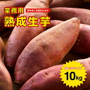 熊本県産 さつまいも 紅はるか 熟成生芋10kg 選べるサイズ(2S,S,M,L,2L,3L,4L) 業務用 土付き