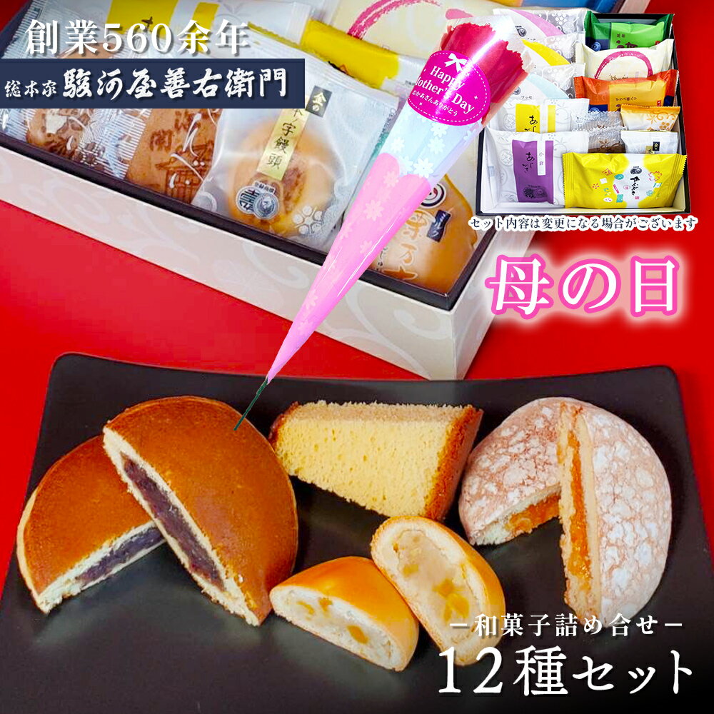 【P最大8倍★お買い物マラソン】 和菓子詰め合わせ ギフト セット (12種入り) 駿河屋 お試しセット お菓子 詰め合せ スイーツ 送料無料 高級 お取り寄せ 詰合わせ ギフト プレゼント 老舗 内祝い 母の日 2024