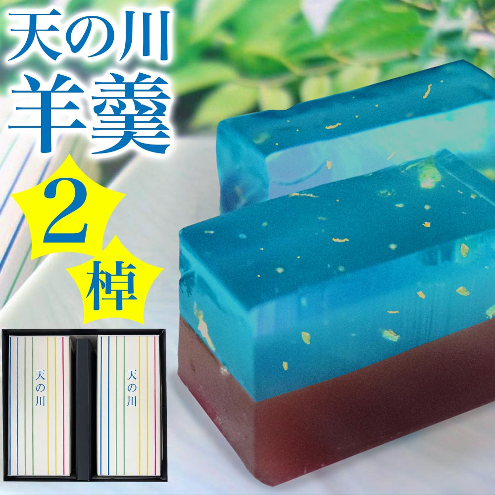 (予約販売)羊羹 ようかん 天の川羊羹（2棹）ギフト スイーツ 和菓子 七夕 ※2024年6月18日頃より順次出荷