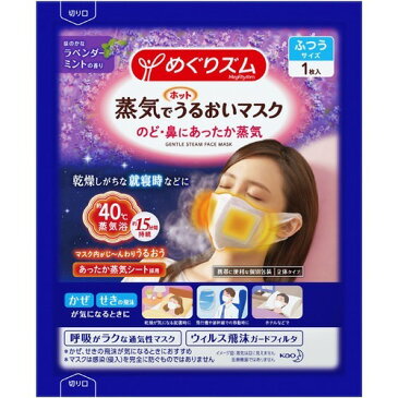 めぐりズム 蒸気でホットうるおいマスク ラベンダーミントの香り(3枚入*10箱セット)【めぐりズム】