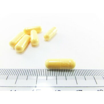 小林製薬 栄養補助食品 コエンザイムQ10 αリポ酸 L-カルニチン(60粒入)【小林製薬の栄養補助食品】