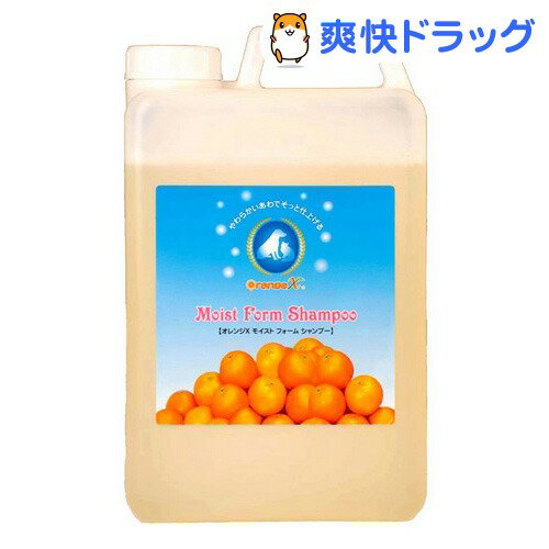 オレンジエックス モイストフォームシャンプー(2L)【オレンジエックス(オレンジX)】