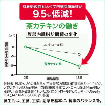 ヘルシア緑茶 うまみ贅沢仕立て(1L*12本)【ヘルシア】