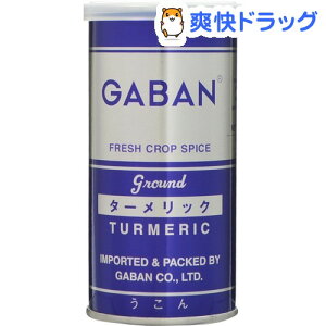 ギャバン ターメリック パウダー(80g)【ギャバン(GABAN)】