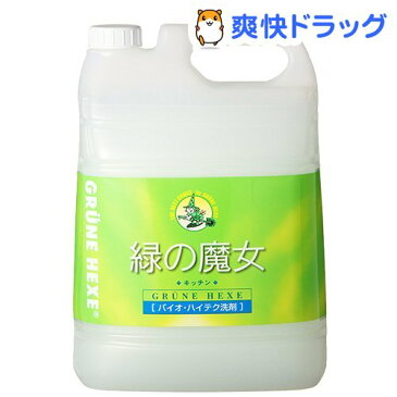 緑の魔女 キッチン(5L)【緑の魔女】
