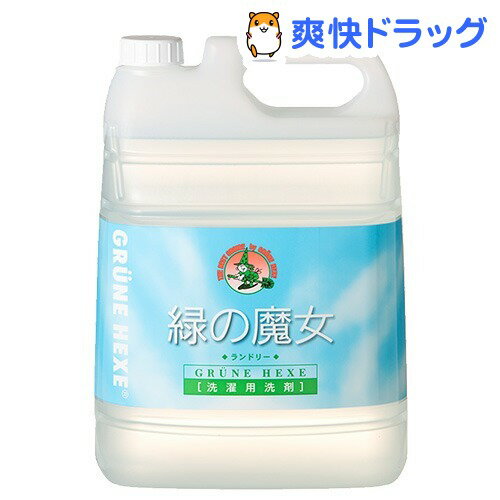 緑の魔女 ランドリー 業務用(5L)