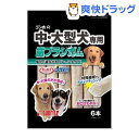 サンライズ　ゴン太の中・大型犬専用 歯ブラシガム(6本入)【ゴン太】