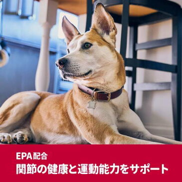 サイエンスダイエット プロ 犬用 健康ガード 関節 小粒 7歳〜(1.6kg)【dalc_sciencediet】【サイエンスダイエット】