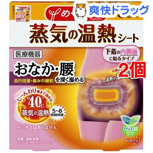 めぐりズム 蒸気の温熱シート 下着の内側面に貼るタイプ(5枚入*2コセット)【めぐりズム】