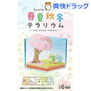 すみっコぐらし 春夏秋冬テラリウム(1BOX(6コ入))...