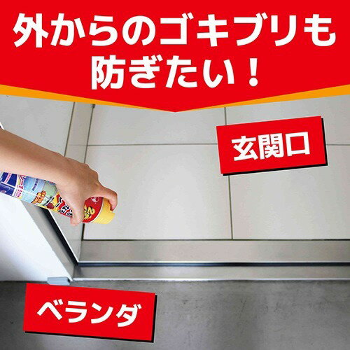 KINCHO ゴキブリがいなくなるスプレー 2週間殺虫効果持続(200mL) KINCHO ゴキブリがいなくなるスプレー 2週間殺虫効果持続(200mL)