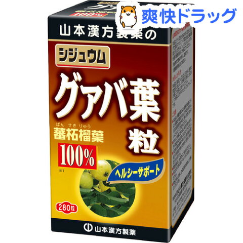 山本漢方 シジュウムグァバ葉粒(280錠)【山本漢方】