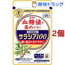 小林製薬のサラシア100(60粒*2コセット)【小林製薬の栄養補助食品】