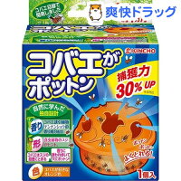 コバエがポットン 置くタイプ コバエ取り 1個入 効果約1ヶ月(1コ入)【コバエがポットン】