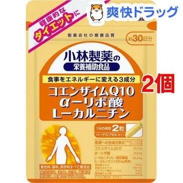 小林製薬 栄養補助食品 コエンザイムQ10 αリポ酸 L-カルニチン(60粒入*2コセット)【小林製薬の栄養補助食品】