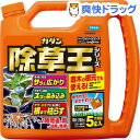 フマキラー カダン除草王 ザッソージエース 除草剤液剤タイプ...